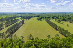 4639 SW Wilson Springs Rd, Fort White, FL 32038 - Photo 71