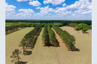 4639 SW Wilson Springs Road, Fort White, FL 32038 - Photo 15