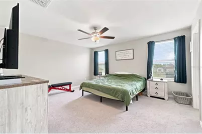 22359 Storybook Cabin Way, Land O Lakes, FL 34637 - Photo 17