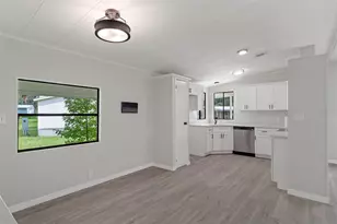 22 Canal Ct, Lake Panasoffkee, FL 33538 - Photo 9
