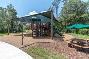 27027 Brush Creek Way, Wesley Chapel, FL 33544 - Photo 61