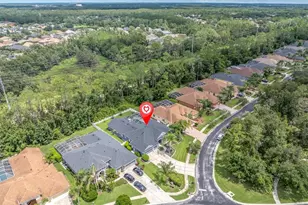 27027 Brush Creek Way, Wesley Chapel, FL 33544 - Photo 69