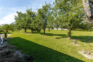 3427 Misty View Dr, Spring Hill, FL 34609 - Photo 11