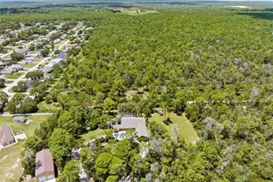 12348 Talpa St, Spring Hill, FL 34608 - Photo 5