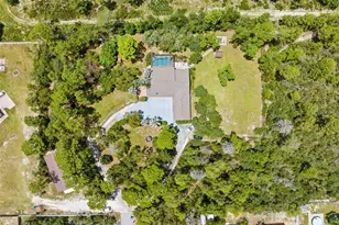12348 Talpa St, Spring Hill, FL 34608 - Photo 9