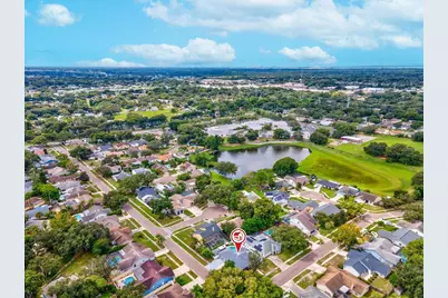 2640 Orchard Highlands Drive, Palm Harbor, FL 34684 - Photo 51