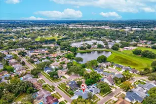 2640 Orchard Highlands Dr, Palm Harbor, FL 34684 - Photo 51