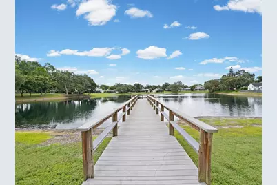 2640 Orchard Highlands Drive, Palm Harbor, FL 34684 - Photo 61