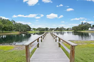 2640 Orchard Highlands Dr, Palm Harbor, FL 34684 - Photo 61