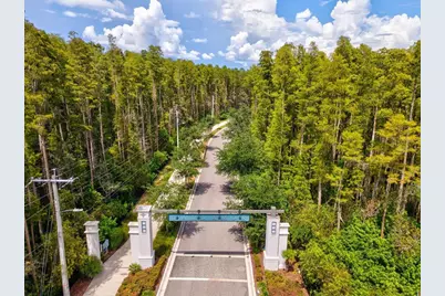 6022 Marsh Trail Drive, Odessa, FL 33556 - Photo 81