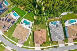 6022 Marsh Trail Dr, Odessa, FL 33556 - Photo 73