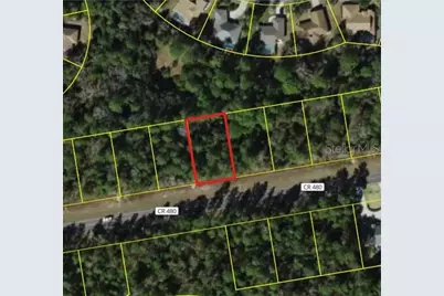 6407 W Oak Park Boulevard, Homosassa, FL 34446 - Photo 5