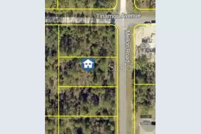Mellon Road, Weeki Wachee, FL 34614 - Photo 1