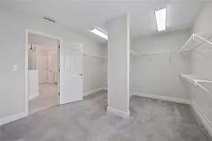 13154 Twin Bridges Dr, Riverview, FL 33579 - Photo 63