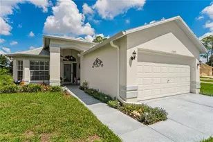 11849 Aranda Ct, Hudson, FL 34667 - Photo 3