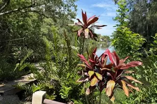 14529 Williams Ln, Hudson, FL 34667 - Photo 75
