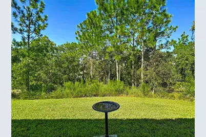 12 Dahlia Court S, Homosassa, FL 34446 - Photo 63