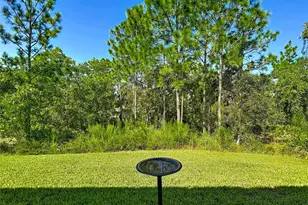 12 Dahlia Ct S, Homosassa, FL 34446 - Photo 63