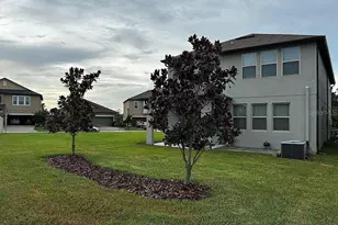 9100 Shadyside Ln, Land O Lakes, FL 34637 - Photo 23