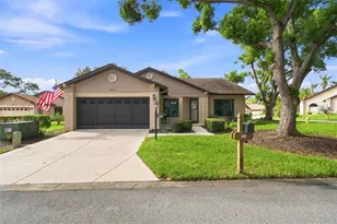 6802 Plumleaf Ct, Spring Hill, FL 34606 - Photo 1