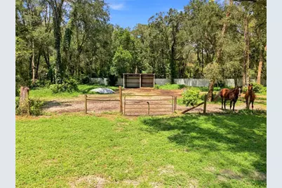 7395 Robb Road, Brooksville, FL 34602 - Photo 41