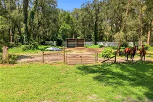 7395 Robb Rd, Brooksville, FL 34602 - Photo 41