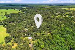7395 Robb Rd, Brooksville, FL 34602 - Photo 33