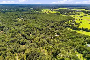 7395 Robb Rd, Brooksville, FL 34602 - Photo 31