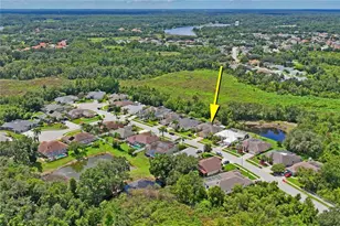 23218 Cypress Trail Dr, Lutz, FL 33549 - Photo 73
