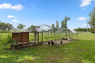 10818 Land O' Lakes Blvd, Land O Lakes, FL 34638 - Photo 27