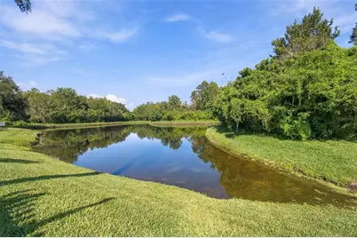 3125 Ashmonte Drive, Land O Lakes, FL 34638 - Photo 57