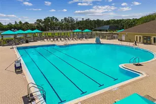 3125 Ashmonte Dr, Land O Lakes, FL 34638 - Photo 67