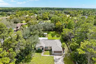 10478 Gannet Ave, Weeki Wachee, FL 34613 - Photo 47
