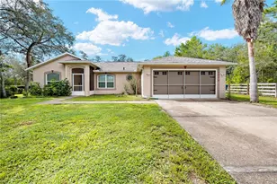 10478 Gannet Ave, Weeki Wachee, FL 34613 - Photo 3