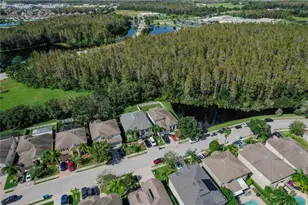 12847 Solola Way, New Port Richey, FL 34655 - Photo 45