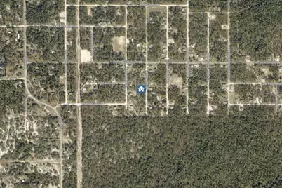 Lot 16 Grebe Road, Weeki Wachee, FL 34614 - Photo 3