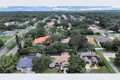 611 Tomoka Drive, Palm Harbor, FL 34683 - Photo 39