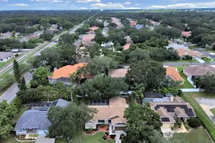 611 Tomoka Dr, Palm Harbor, FL 34683 - Photo 39