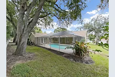 611 Tomoka Drive, Palm Harbor, FL 34683 - Photo 51