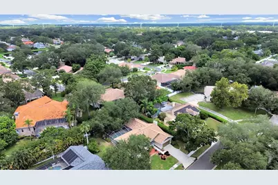611 Tomoka Drive, Palm Harbor, FL 34683 - Photo 41