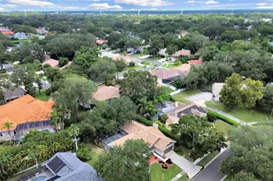 611 Tomoka Dr, Palm Harbor, FL 34683 - Photo 41