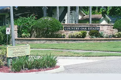 611 Tomoka Drive, Palm Harbor, FL 34683 - Photo 55