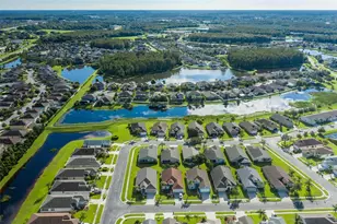 1856 Arbor Knoll Loop, Trinity, FL 34655 - Photo 45