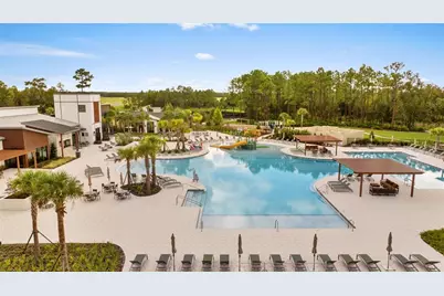21846 Lyonia Lane, Land O Lakes, FL 34637 - Photo 45