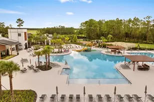 21846 Lyonia Ln, Land O Lakes, FL 34637 - Photo 45
