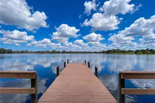 21422 Draycott Way, Land O Lakes, FL 34637 - Photo 77