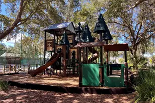 21422 Draycott Way, Land O Lakes, FL 34637 - Photo 85
