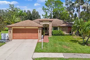1427 Fallowfield Dr, Trinity, FL 34655 - Photo 1