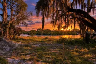 Tiberius Trail, New Port Richey, FL 34652 - Photo 1