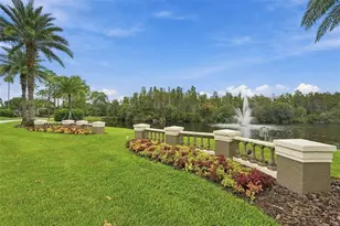 19401 Melody Fair Pl, Lutz, FL 33558 - Photo 57